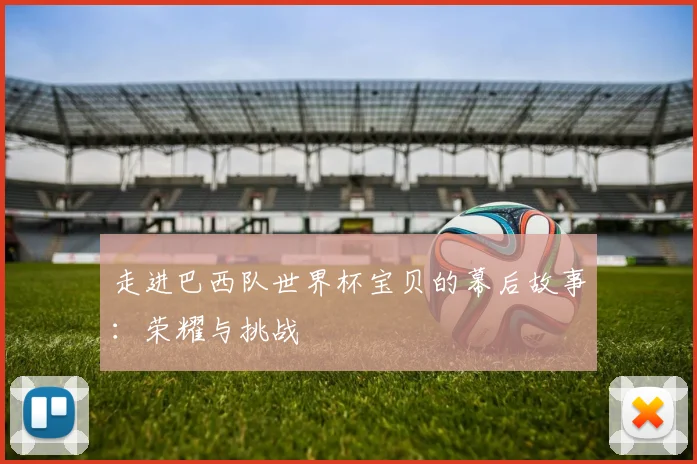 走进巴西队世界杯宝贝的幕后故事：荣耀与挑战