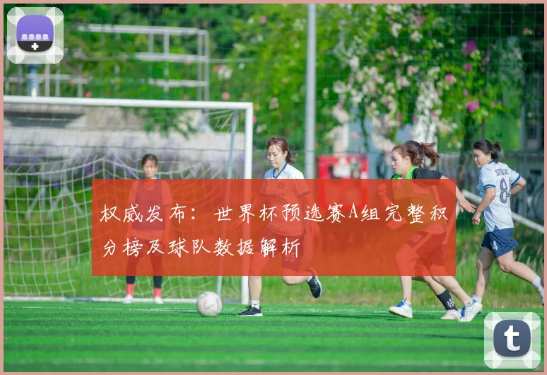 权威发布：世界杯预选赛A组完整积分榜及球队数据解析