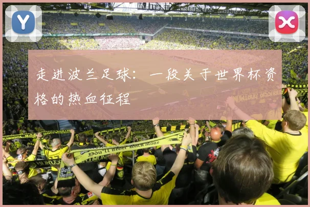 走进波兰足球：一段关于世界杯资格的热血征程