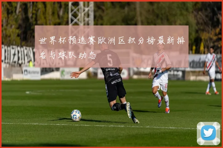 世界杯预选赛欧洲区积分榜最新排名与球队动态