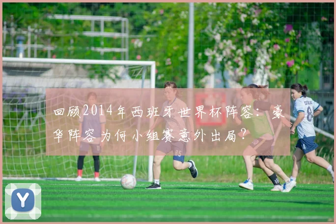 回顾2014年西班牙世界杯阵容：豪华阵容为何小组赛意外出局？