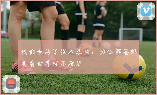 我们专访了技术总监，为你解答哪里看世界杯不延迟