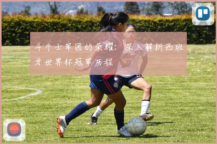 斗牛士军团的荣耀：深入解析西班牙世界杯冠军历程