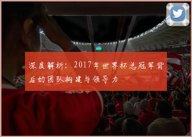 深度解析：2017年世界杯总冠军背后的团队构建与领导力