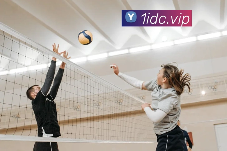 华体在线登录入口APP 封面图